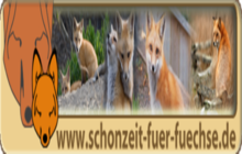 flyer-box