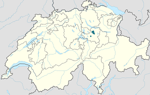 Karta över Bezirk Einsiedeln med taggar för varje stödjare
