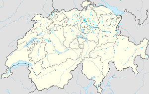 Karte von Kanton Graubünden mit Markierungen für die einzelnen Unterstützenden
