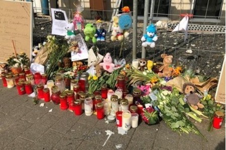 Bild der Petition 10 Zebras - mehr Sicherheit für die Bonner Straße