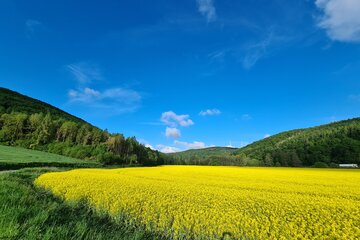 Bild der Petition 70 Zone im Bereich OT Roggenthal in 37688 Beverungen