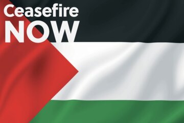 Bild der Petition Aachener*innen fordern jetzt Waffenstillstand in Palästina