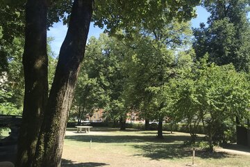 Bild der Petition Alten Baumbestand in Schwabing-West schützen - Nein zu Nachverdichtung auf Kosten des Stadtklimas!