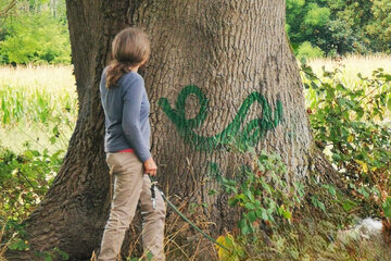 Bild der Petition Artenvielfalt und Klimaschutz in Münster bedroht! Nein zum Bebauungsplan St Mauritz-Maikottenweg!