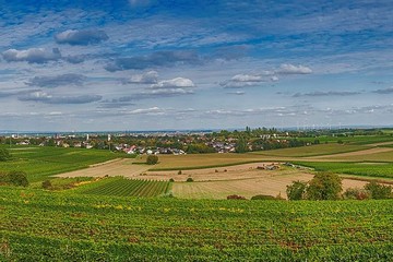 Bild der Petition Aufruf des Klimwandels