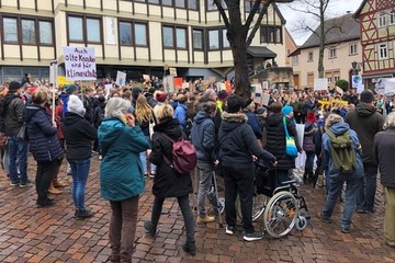 Bild der Petition Ausrufung des Klimanotstands im Kreis Bergstraße