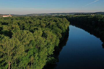 Bild der Petition Auwald statt Asphalt! Schutz des Auwaldes vor dem geplanten Brückenbauprojekt