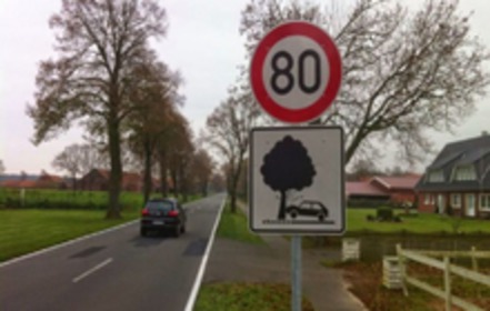 Bild der Petition Bäume springen nicht zur Seite, aber auch nicht auf die Straße!