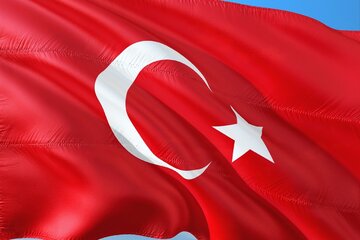 Bild der Petition Balingen Türkçe Öğretmeni Görevine Devam Etmelidir