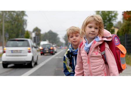 Bild der Petition Bedarfsampel an der Schmöckwitzer Inselschule