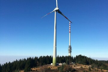 Bild der Petition Beschleunigtes Verfahren zur Errichtung einer weiteren Windenergieanlage auf der Hornisgrinde