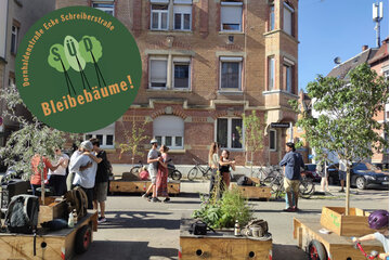 Bild der Petition BLEIBEBÄUME - Bäume mit Sitzgelegenheiten für die Dornhalden- und Schreiberstraße, Stuttgart