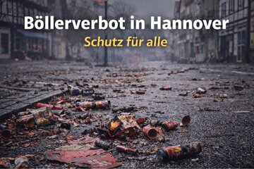 Bild der Petition Böllerverbot in Hannover- für ein sicheres Silvester ohne Angst und Gewalt