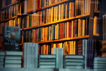 Bild der Petition Buchhandlungspreis 2025 - Unterstützung für ausgeschlossenen Buchhandlungen