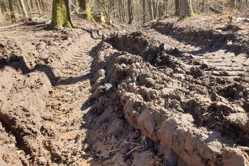 Bild der Petition BÜRGERINITIATIVE "Wir für den Wald"