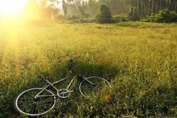 Bild der Petition Ein Pumptrack für Waiblingen!
