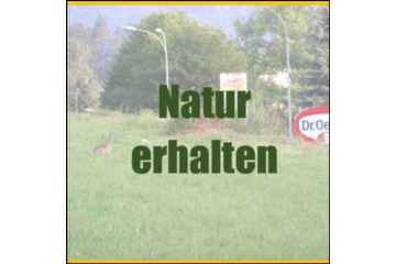 Bild der Petition Einstellung des Planungs- und Bauvorhabens Tiroler Straße / Villacher Straße (B86)