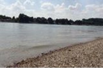 Bild der Petition Erhalt der Zufahrt zur Natorampe Biebesheim am Rhein