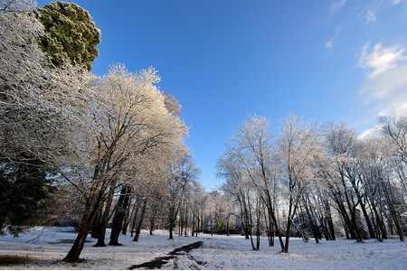 Bild der Petition Erhalt des Büdingen-Park / Keine Überschreitung des Baufensters