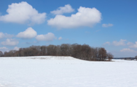 Bild der Petition Erhalt des Kogls als Naturdenkmal, Koglfest an geeignetem Ort neben dem Naturdenkmal