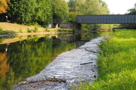 Bild der Petition "Erhalt des Wasserspiegels der Werre im Zusammenhang mit dem geplanten Umbau des Bergertor Wehres"