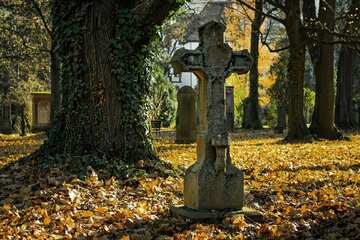Bild der Petition Erhalt Personalstelle Friedhofsgärtner der Stadt Lebus