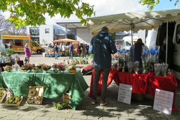 Bild der Petition Erhaltung des Dortelweiler Wochenmarktes am Samstag