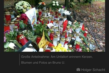Bild der Petition !!!Errichtung Leitplanken im Bereich K75 Torgelower Wald = zwischen Liepgarten und Torgelow!!!!