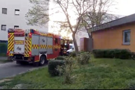 Bild der Petition: Demande de garages de quartier au Heuchelhof dans le H1