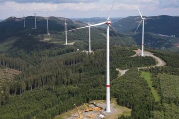 Bild der Petition Für den Erhalt der artenreichen Natur im windarmen Rammert! Nein zu falsch verstandenem Klimaschutz!