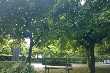 Bild der Petition Für den Schutz von Umwelt und Klima auf dem Deutschen Platz in Bensberg!