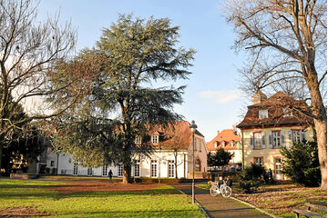 Bild der Petition Für einen sauberen Graham Park