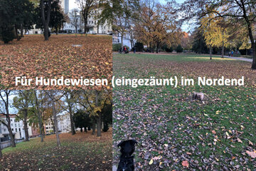 Bild der Petition Für Hundewiesen (eingezäunt) im Frankfurter Nordend