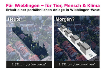 Bild der Petition Für Wieblingen – für Tier, Mensch & Klima: Erhalt einer parkähnlichen Anlage in Wieblingen-West