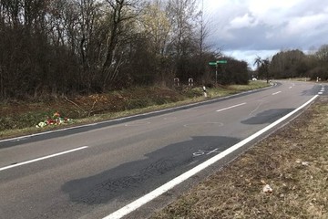 Bild der Petition Gefahrenbeseitigung auf dem Wendelinus Rad- und Wanderweg im Gedenken an Emely