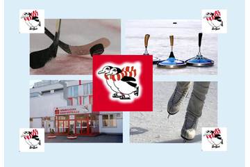 Bild der Petition Gegen die Schließung der Eissporthalle Düsseldorf Benrath
