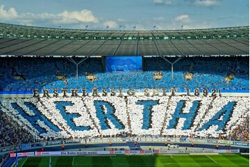 Bild der Petition GEGENBAUER RAUS! Für die Zukunft von HERTHA BSC!