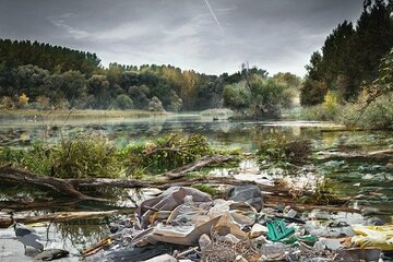 Bild der Petition Gelbe Tonne statt gelber Sack, Verden