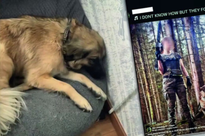 Gerechtigkeit für Jette – Schutz für zukünftige Tiere - Online petition