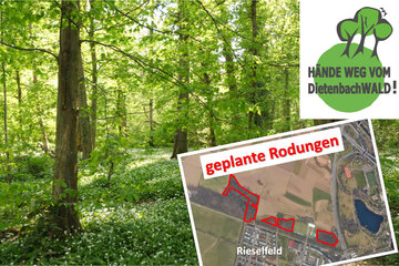 Image of the petition Hände weg vom Dietenbachwald in Freiburg!