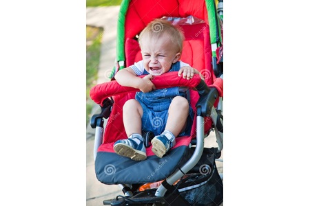 Bild der Petition Hilfe ! Gesellschaftlicher Kollaps bereits im Kinderwagen !