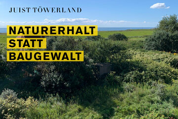 Bild der Petition Juist Töwerland: Naturerhalt statt Baugewalt
