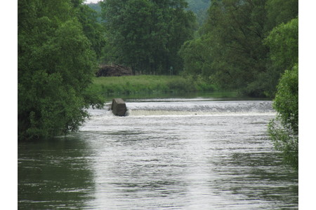 Bild der Petition Kein Wasserkraftwerk am Main bei Michelau!