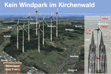 Bild der Petition Kein Windpark im Kirchenwald