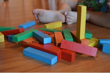 Bild der Petition Keine Erweiterung des Montessori Kinderhauses Simonshofen
