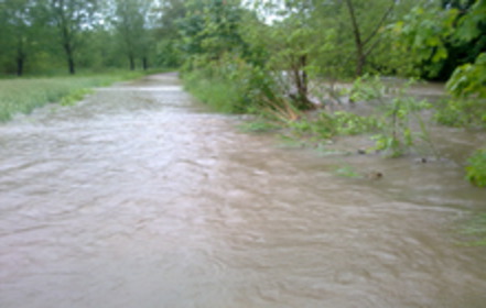 Bild der Petition Keine Mauern in Schrobenhausen für den Hochwasserschutz