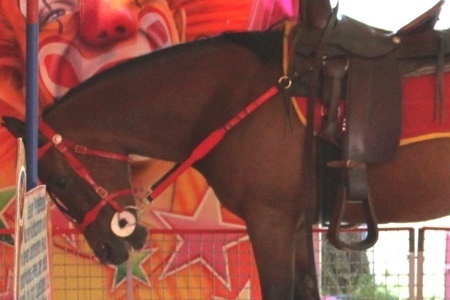 Bild der Petition Kirmes ohne Ponyleid
