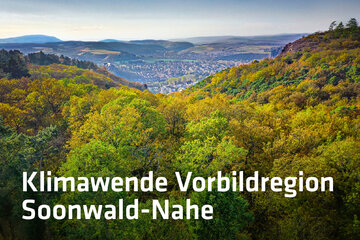 Bild der Petition Klimawende Vorbildregion Soonwald/Nahe statt Windindustriegebiet Naheland