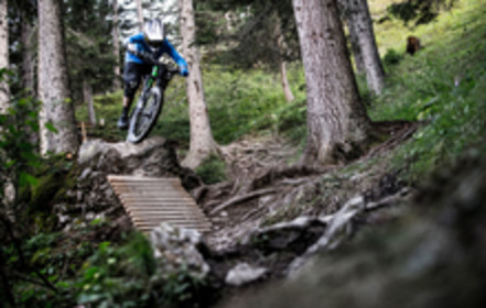 Bild der Petition Legalen Downhill Trail in Schnaitheim/Heidenheim