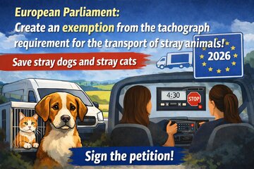Bild der Petition Ausnahme von der Fahrtenschreiberpflicht für den Transport von Streunerhunde und Katzen